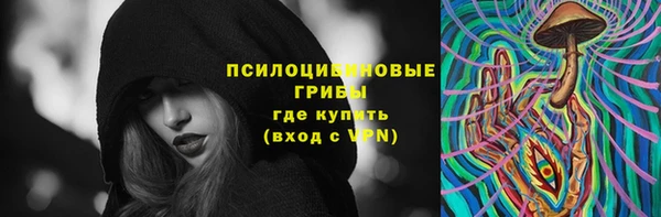 тгк Аркадак