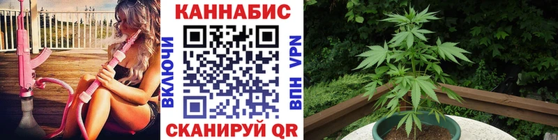 Шишки марихуана LSD WEED  где продают наркотики  Гурьевск 